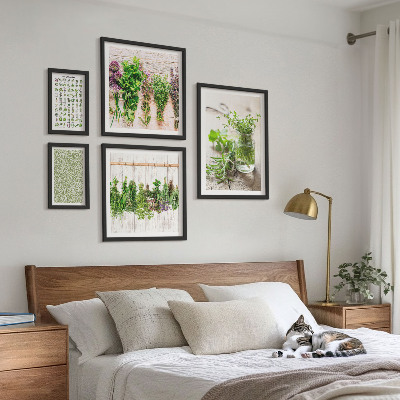 Lot de tableaux encadrés Inspirations de décoration à base de plantes
