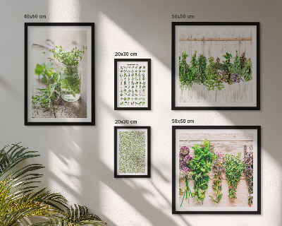Lot de tableaux encadrés Inspirations de décoration à base de plantes