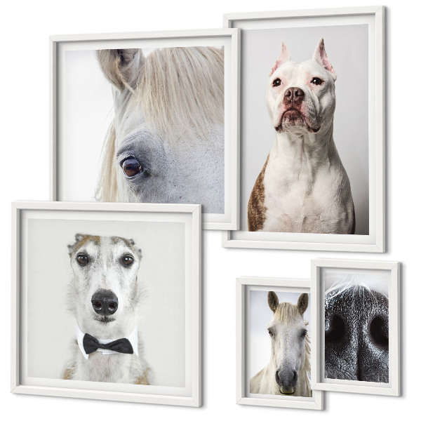 Ensemble de 5 tableaux Portraits d'animaux modernes