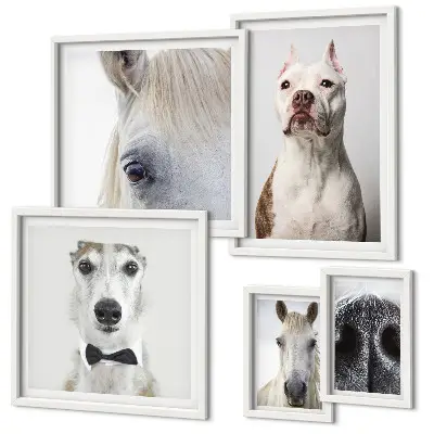 Portraits d'animaux modernes ensemble de 5 tableaux