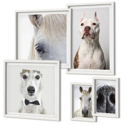 Ensemble de 5 tableaux Portraits d'animaux modernes