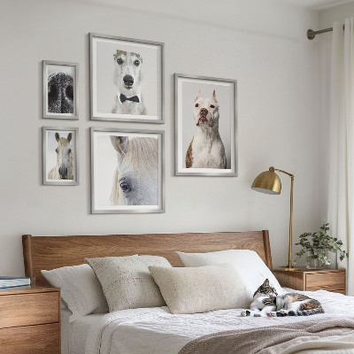 Ensemble de 5 tableaux Portraits d'animaux modernes