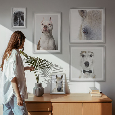 Ensemble de 5 tableaux Portraits d'animaux modernes