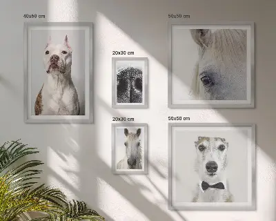 Portraits d'animaux modernes ensemble de 5 tableaux