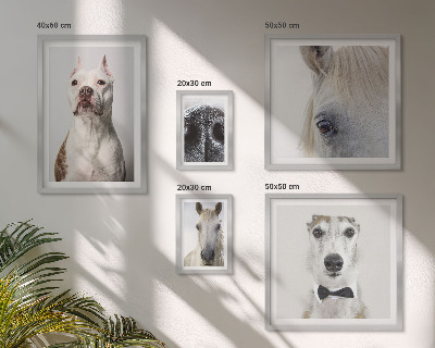 Ensemble de 5 tableaux Portraits d'animaux modernes