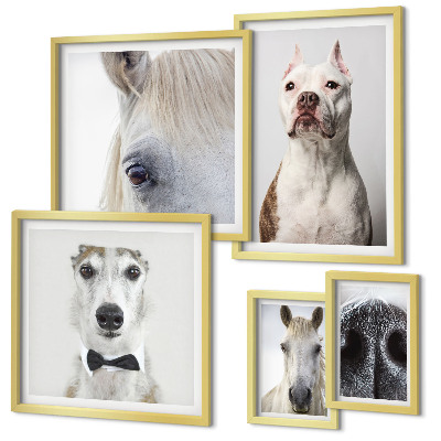 Ensemble de 5 tableaux Portraits d'animaux modernes