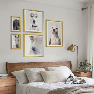 Ensemble de 5 tableaux Portraits d'animaux modernes