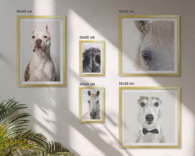 Ensemble de 5 tableaux Portraits d'animaux modernes