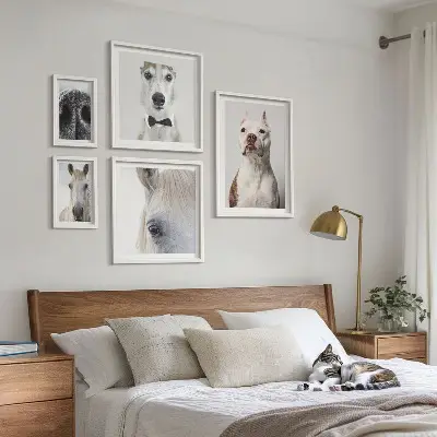 Portraits d'animaux modernes ensemble de 5 tableaux