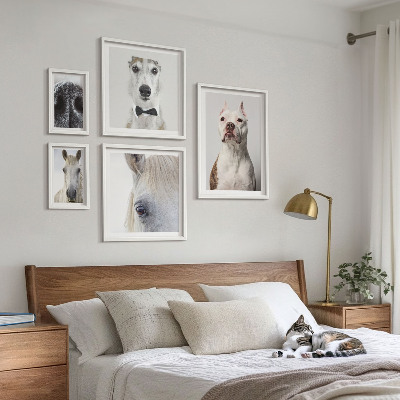 Ensemble de 5 tableaux Portraits d'animaux modernes