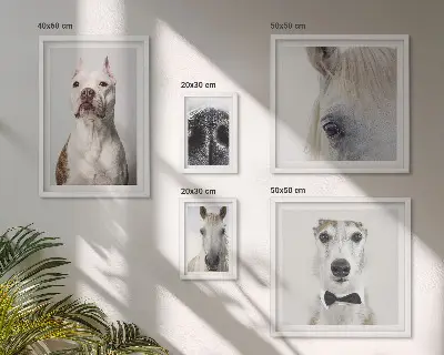 Portraits d'animaux modernes ensemble de 5 tableaux