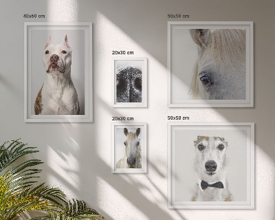 Ensemble de 5 tableaux Portraits d'animaux modernes