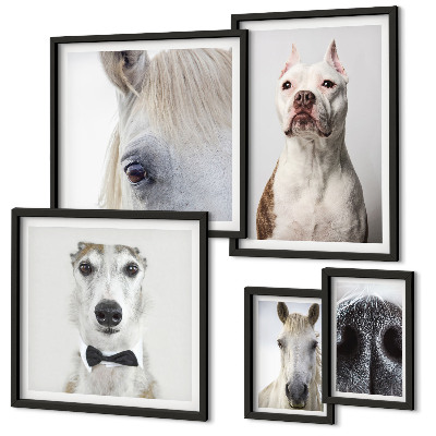 Ensemble de 5 tableaux Portraits d'animaux modernes