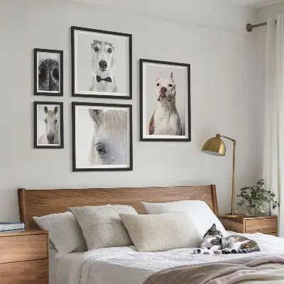 Portraits d'animaux modernes ensemble de 5 tableaux