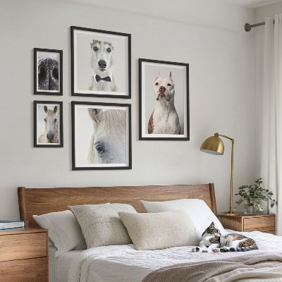 Ensemble de 5 tableaux Portraits d'animaux modernes
