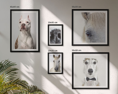 Ensemble de 5 tableaux Portraits d'animaux modernes
