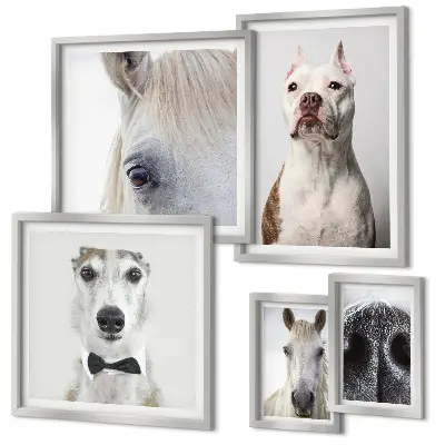 Portraits d'animaux modernes ensemble de 5 tableaux