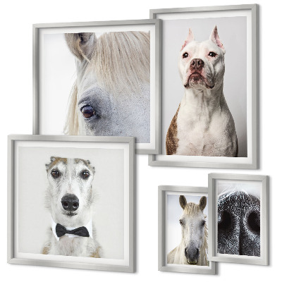 Ensemble de 5 tableaux Portraits d'animaux modernes
