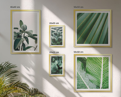 Ensemble de 5 tableaux Inspirations végétales tropicales