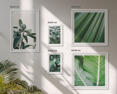 Ensemble de 5 tableaux Inspirations végétales tropicales