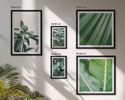 Ensemble de 5 tableaux Inspirations végétales tropicales