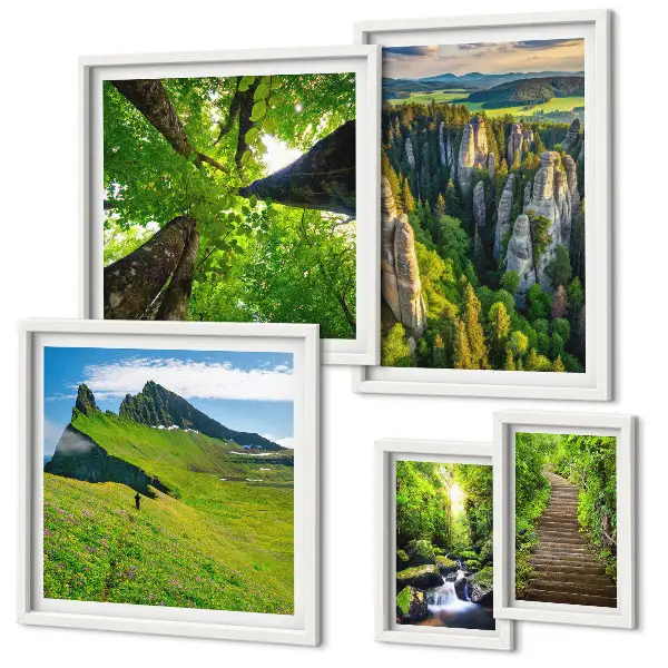 Ensemble de 5 tableaux représentant des sentiers de nature aux paysages verdoyants