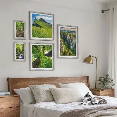 Ensemble de 5 tableaux représentant des sentiers de nature aux paysages verdoyants