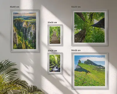 Ensemble de 5 tableaux représentant des sentiers de nature aux paysages verdoyants