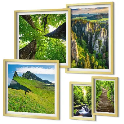 Ensemble de 5 tableaux représentant des sentiers de nature aux paysages verdoyants