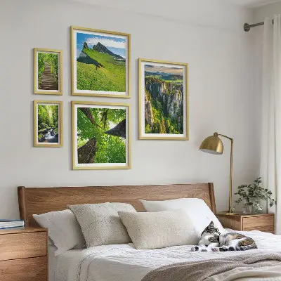 Ensemble de 5 tableaux représentant des sentiers de nature aux paysages verdoyants