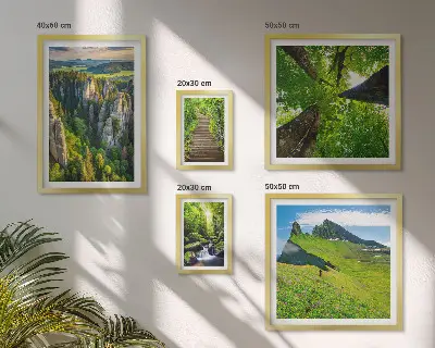 Ensemble de 5 tableaux représentant des sentiers de nature aux paysages verdoyants