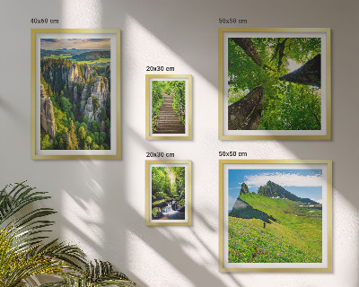 Ensemble de 5 tableaux Sentiers de nature aux paysages verdoyants