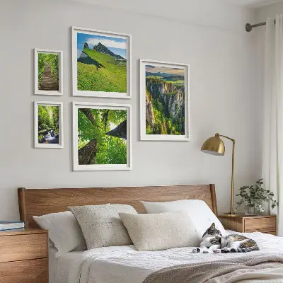 Ensemble de 5 tableaux représentant des sentiers de nature aux paysages verdoyants