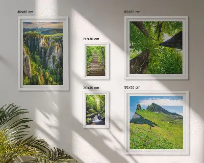 Ensemble de 5 tableaux représentant des sentiers de nature aux paysages verdoyants