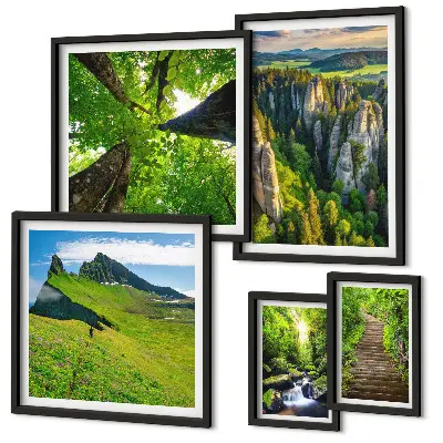 Ensemble de 5 tableaux représentant des sentiers de nature aux paysages verdoyants