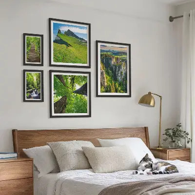 Ensemble de 5 tableaux représentant des sentiers de nature aux paysages verdoyants