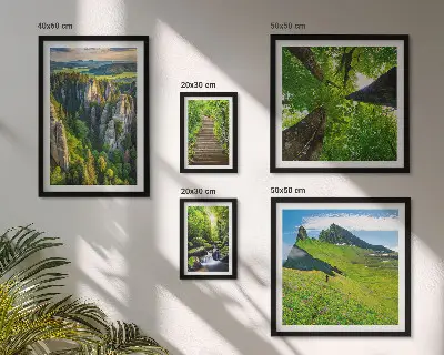 Ensemble de 5 tableaux représentant des sentiers de nature aux paysages verdoyants