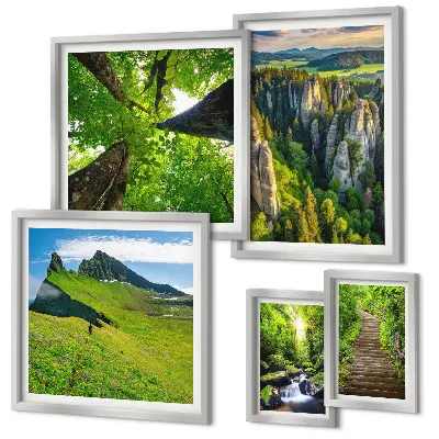 Ensemble de 5 tableaux représentant des sentiers de nature aux paysages verdoyants