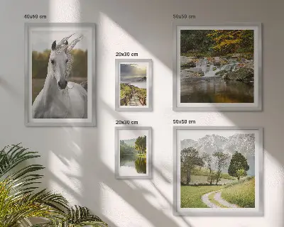 Ensemble de 5 tableaux représentant des paysages avec un cheval