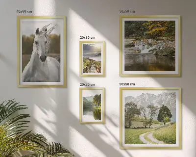 Ensemble de 5 tableaux représentant des paysages avec un cheval
