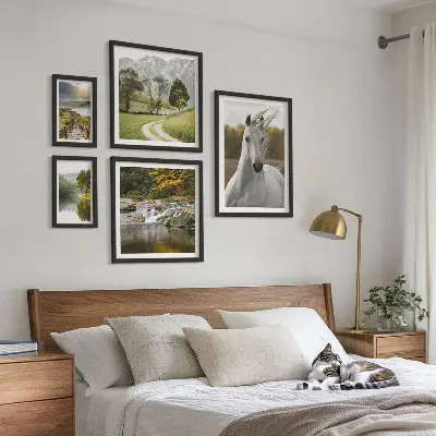 Ensemble de 5 tableaux représentant des paysages avec un cheval