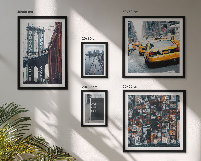 Tableau de décoration murale Vues charmantes de New York