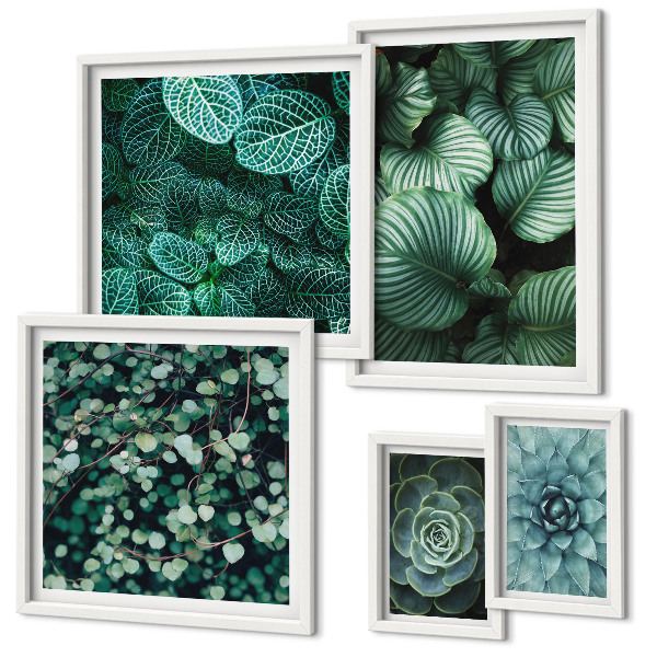 Lot de tableaux encadrés Feuilles de plantes succulentes nature