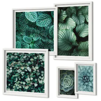 Lot de tableaux encadrés motifs de feuilles de plantes succulentes nature
