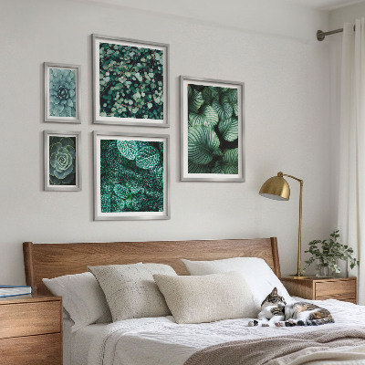 Lot de tableaux encadrés Feuilles de plantes succulentes nature