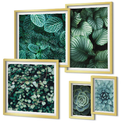 Lot de tableaux encadrés Feuilles de plantes succulentes nature