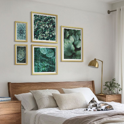 Lot de tableaux encadrés Feuilles de plantes succulentes nature