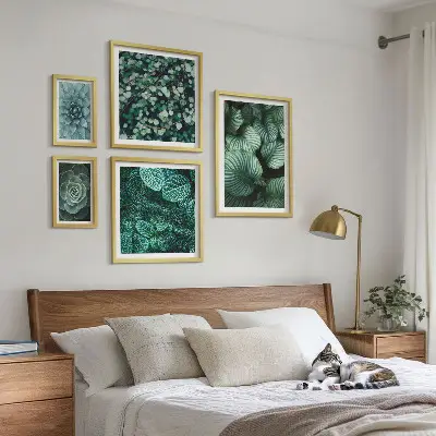 Lot de tableaux encadrés motifs de feuilles de plantes succulentes nature