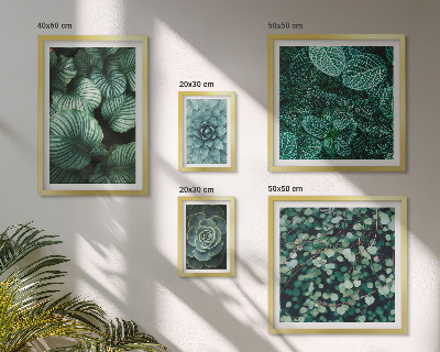 Lot de tableaux encadrés Feuilles de plantes succulentes nature