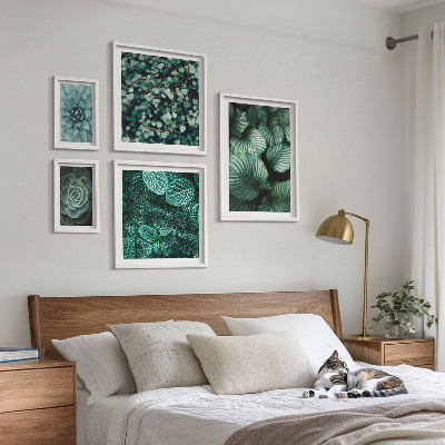 Lot de tableaux encadrés Feuilles de plantes succulentes nature